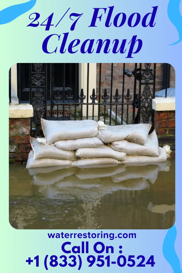 24/7 Flood Cleanup in Summerfield, NC